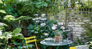 courtyard garden ideas