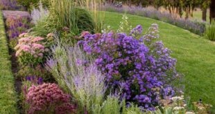 flower bed ideas