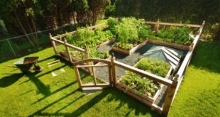 enclosed garden ideas