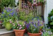 garden containers