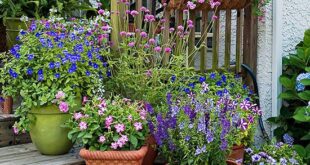 garden containers