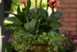 garden containers