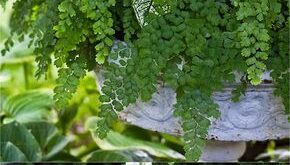 garden containers