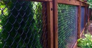 chain link fence ideas