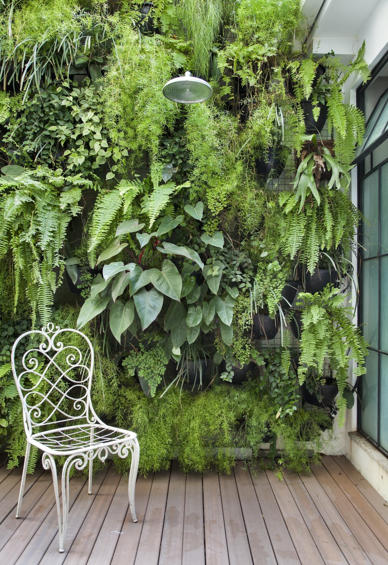 Creative Ways to Enhance Your Garden with Beautiful Walls