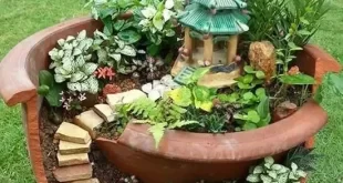 garden diy ideas