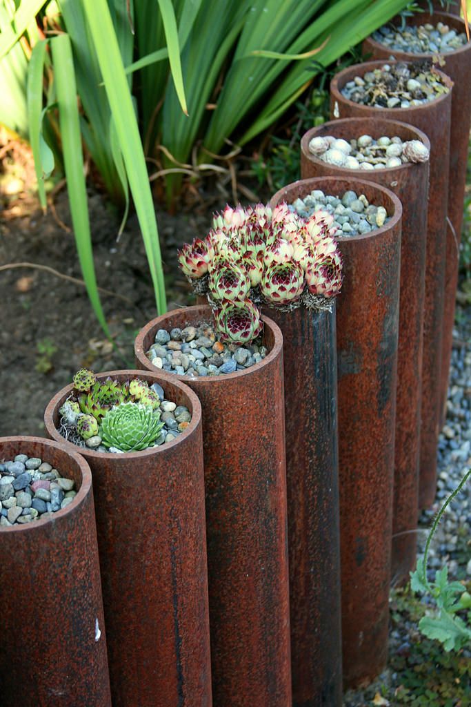 Creative Ways to Enhance Your Garden with Edging