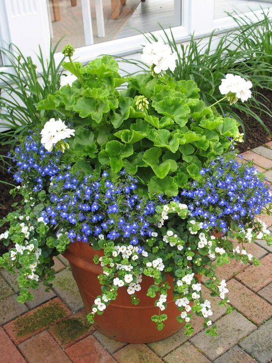 Creative Ways to Enhance Your Garden with Planter Pots