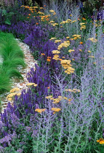 Creative Ways to Enhance Your Landscape Borders