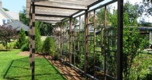 chain link fence ideas