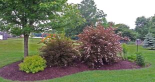 landscaping mounds