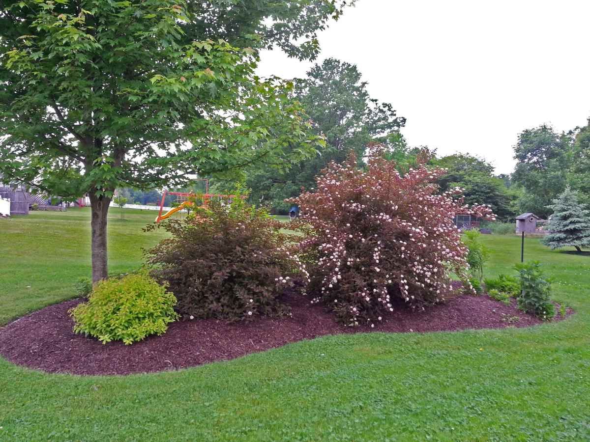 Creative Ways to Enhance Your Outdoor Space with Landscaping Mounds