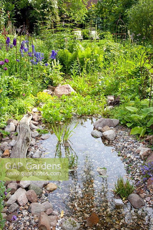 Creative Ways to Enhance Your Small Garden with Beautiful Ponds