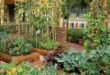 backyard vegetable garden ideas