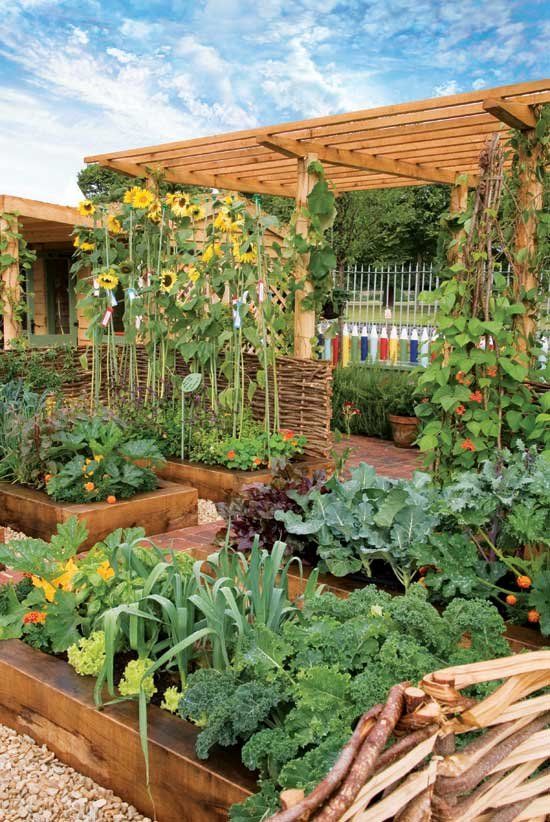 Creative Ways to Grow Your Own Vegetables in Your Backyard