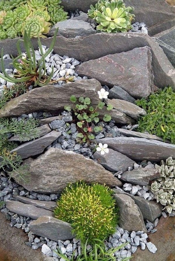 Creative Ways to Incorporate Stones in Your Garden Design