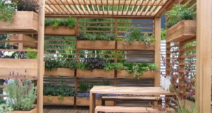 small garden space ideas