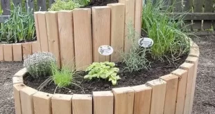 small garden bed ideas