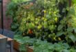 garden ideas for small spaces