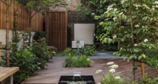 modern garden ideas