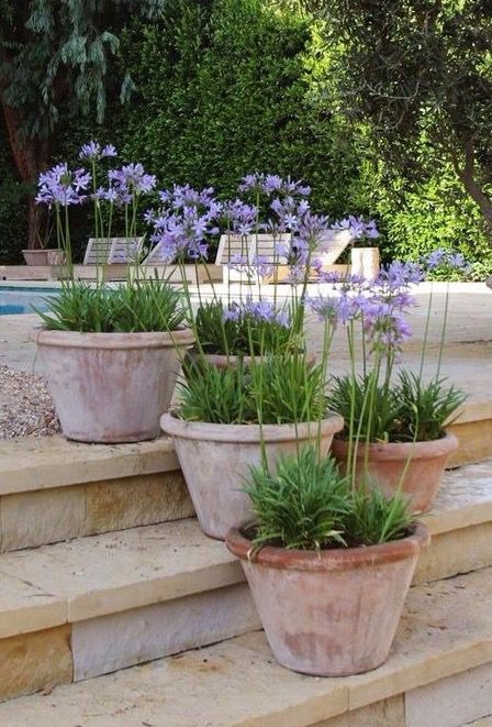 garden planter pots