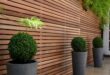 garden wall ideas