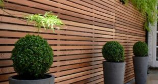 garden wall ideas