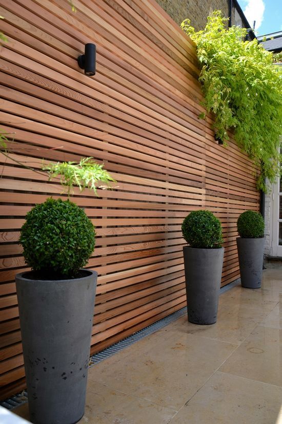 Creative Ways to Spruce Up Your Garden Walls