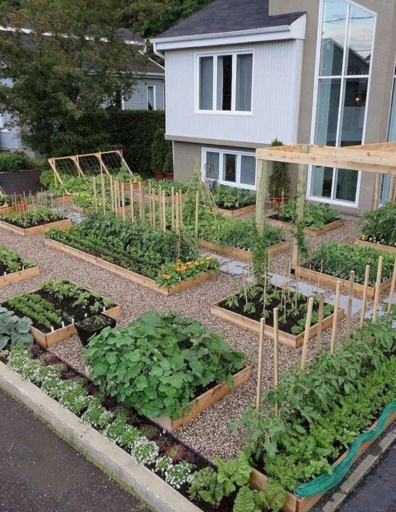 backyard vegetable garden ideas