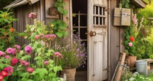 small garden shed ideas