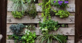 garden ideas with pallets