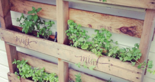 garden ideas with pallets