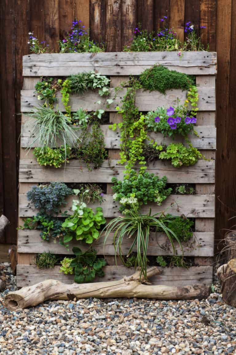 Creative Ways to Transform Your Garden Using Pallets