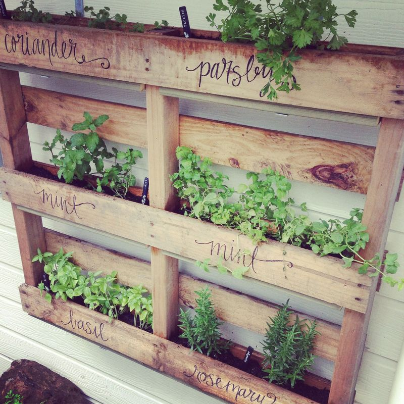 Creative Ways to Transform Your Garden Using Pallets