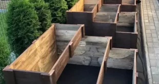 garden box ideas