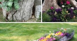 garden ideas diy