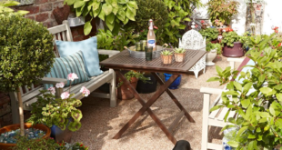 patio garden ideas