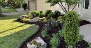 landscaping ideas