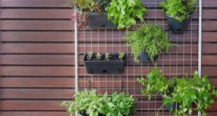 herb garden outdoor planter