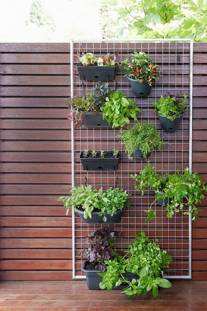 Creative Ways to Transform Your Outdoor Space with an Herb Garden Planter