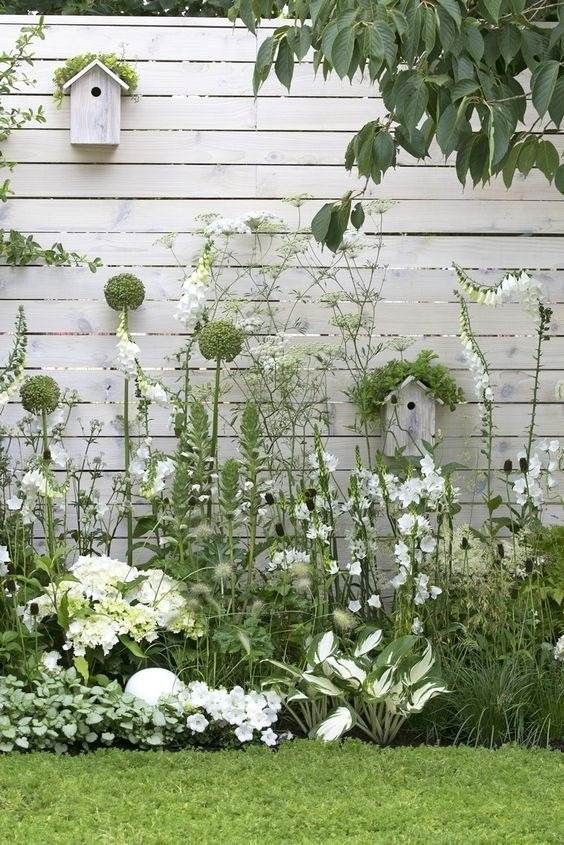 Creative Ways to Transform Your Small Garden Beds