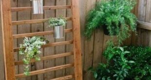 small garden ideas on a budget