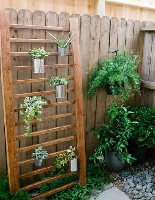 Creative Ways to Transform Your Small Garden Without Breaking the Bank