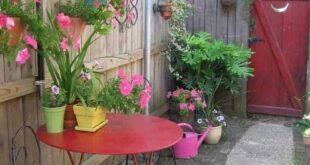 small garden ideas on a budget