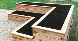 garden box ideas