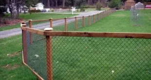 chain link fence ideas