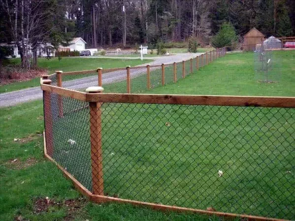 Creative Ways to Use Chain Link Fencing in Your Outdoor Space