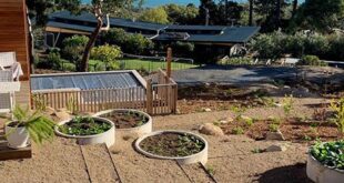 garden planter concrete