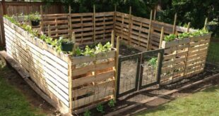 garden ideas with pallets