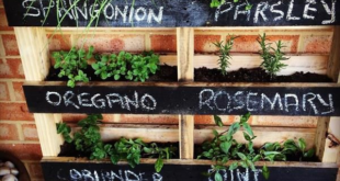 garden ideas with pallets